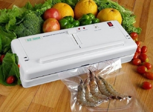 Máy hút chân không gia đình DZ-300B