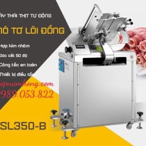 Máy thái thịt đông lạnh công nghiệp SL-350B